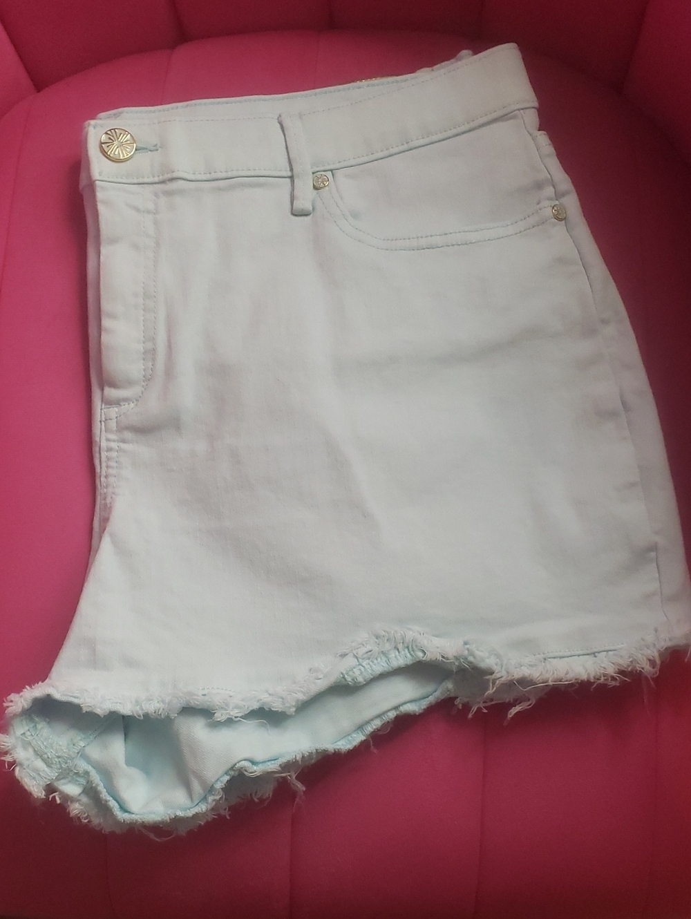 Lilly Pulitzer Shorts